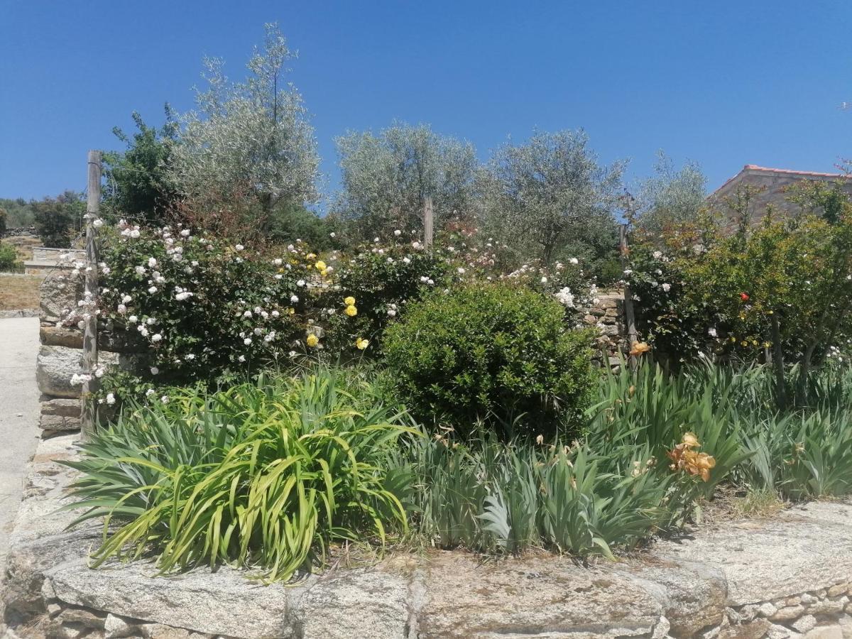 Rosas Da Granja - Casa De Campo Extérieur photo