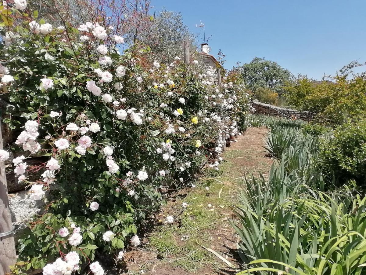Rosas Da Granja - Casa De Campo Extérieur photo